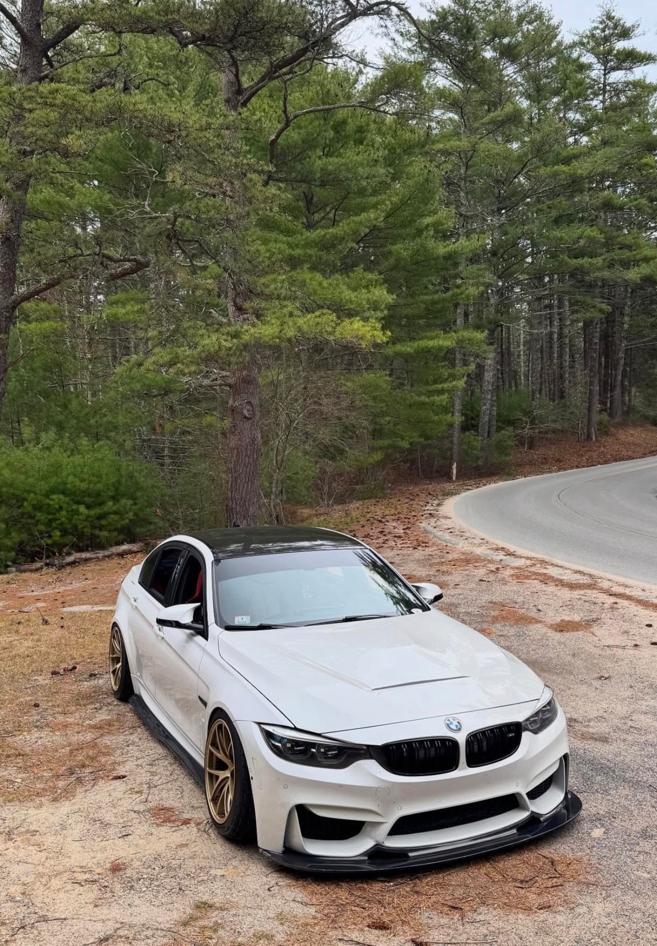 BMW F80 F82 F83 M3 M4 Gt4 Style Carbon Fiber Front Lip | Trofeo Composites