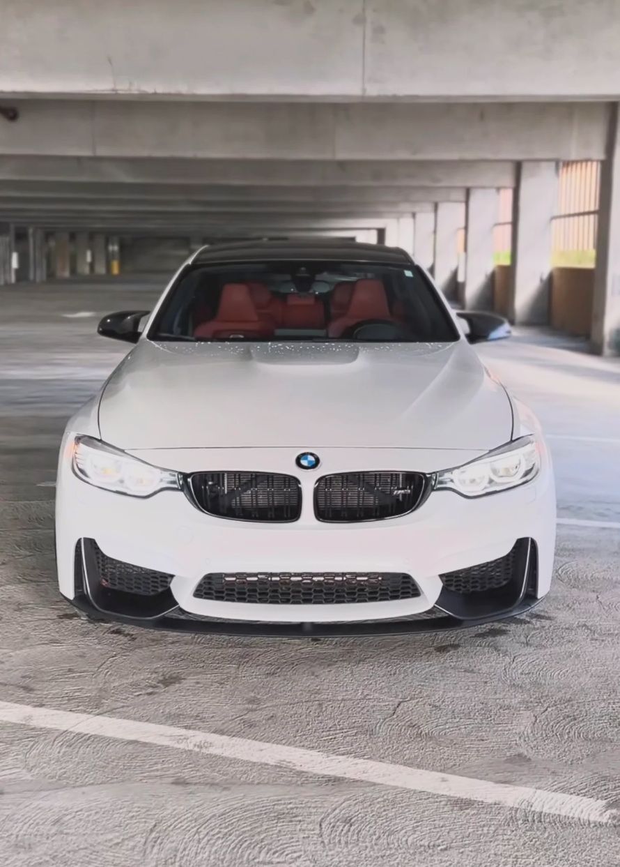 BMW F80 M3 M4 M Performance Style Carbon Fiber Front Bumper Lip + Splitter Kit | Trofeo Composites