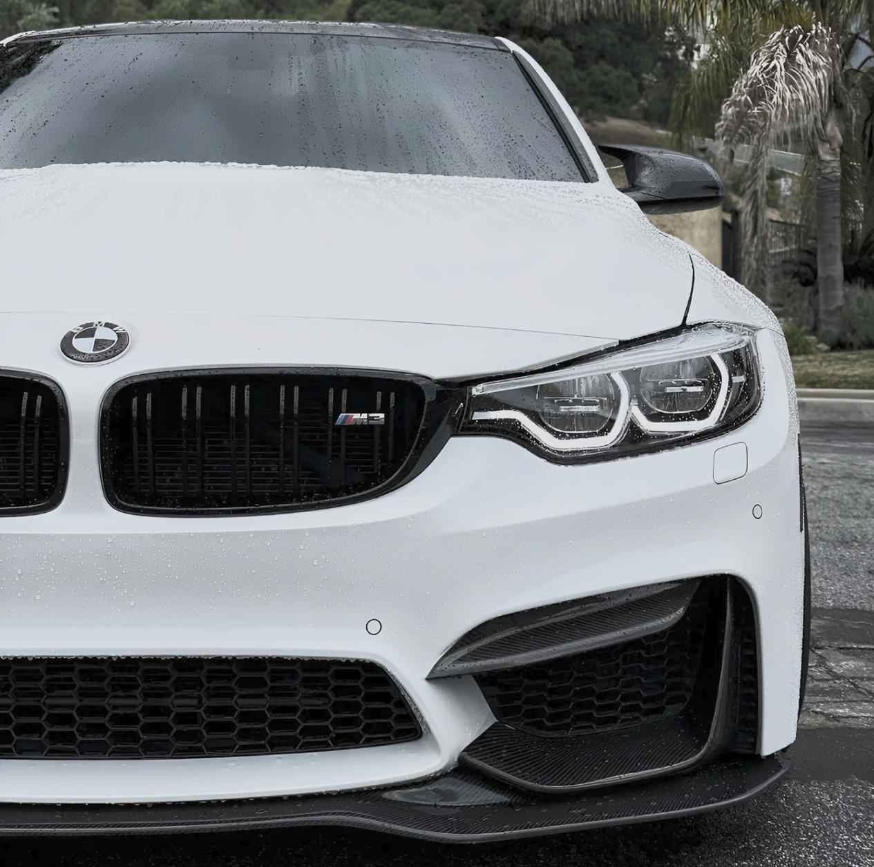 F8X M3 M4 Carbon Fiber Upper Fangs | Trofeo Composites